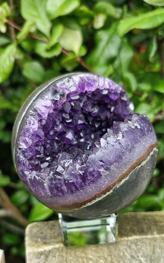 Amethyst Cluster Sphere - Wairua 💜