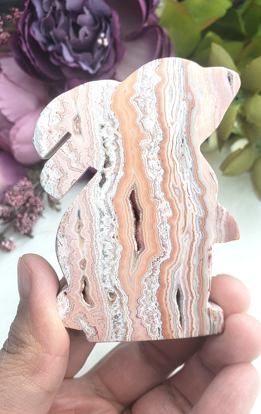 Pink Lace Agate Bunnies