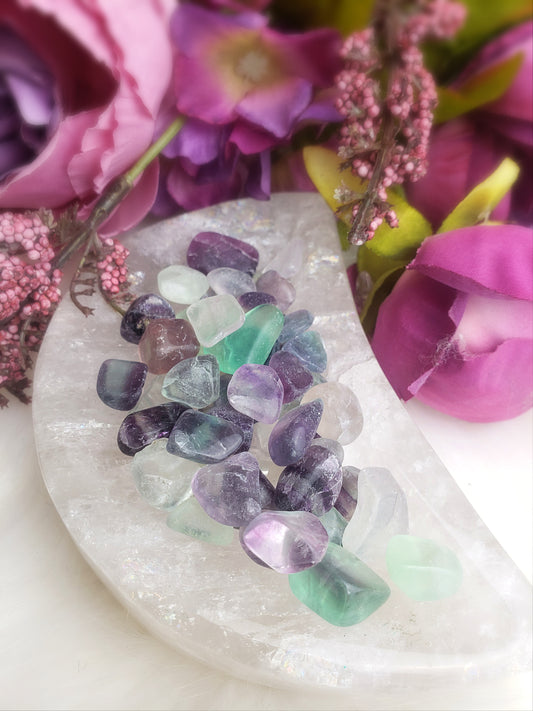 Mixed Fluorite Chips